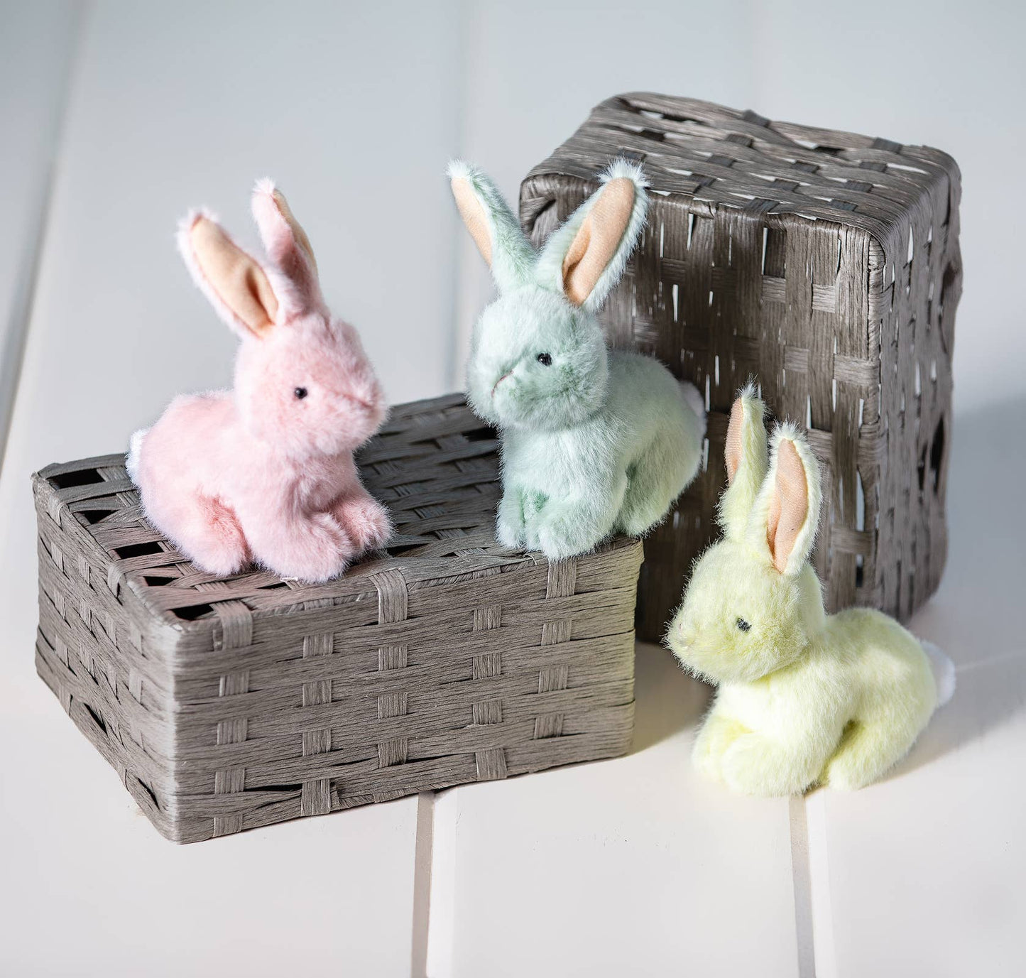 Petite Bunny